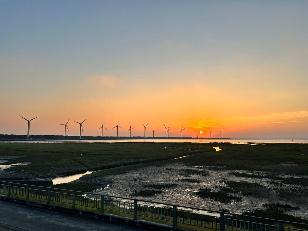 高美湿地_1