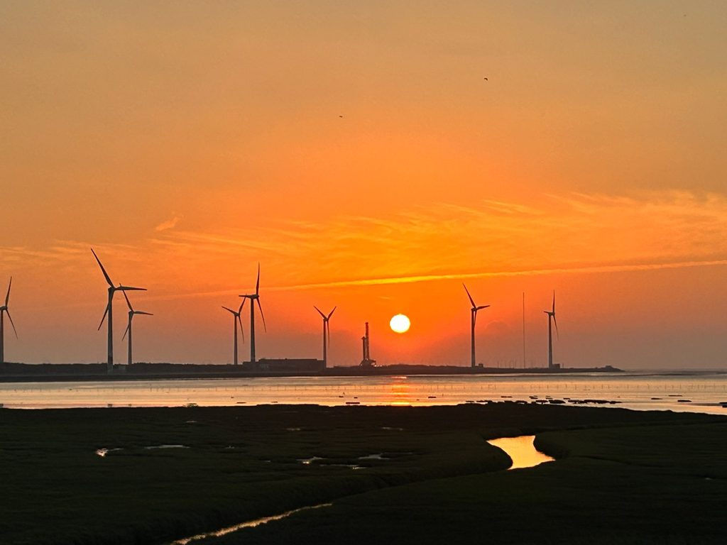 高美湿地_2
