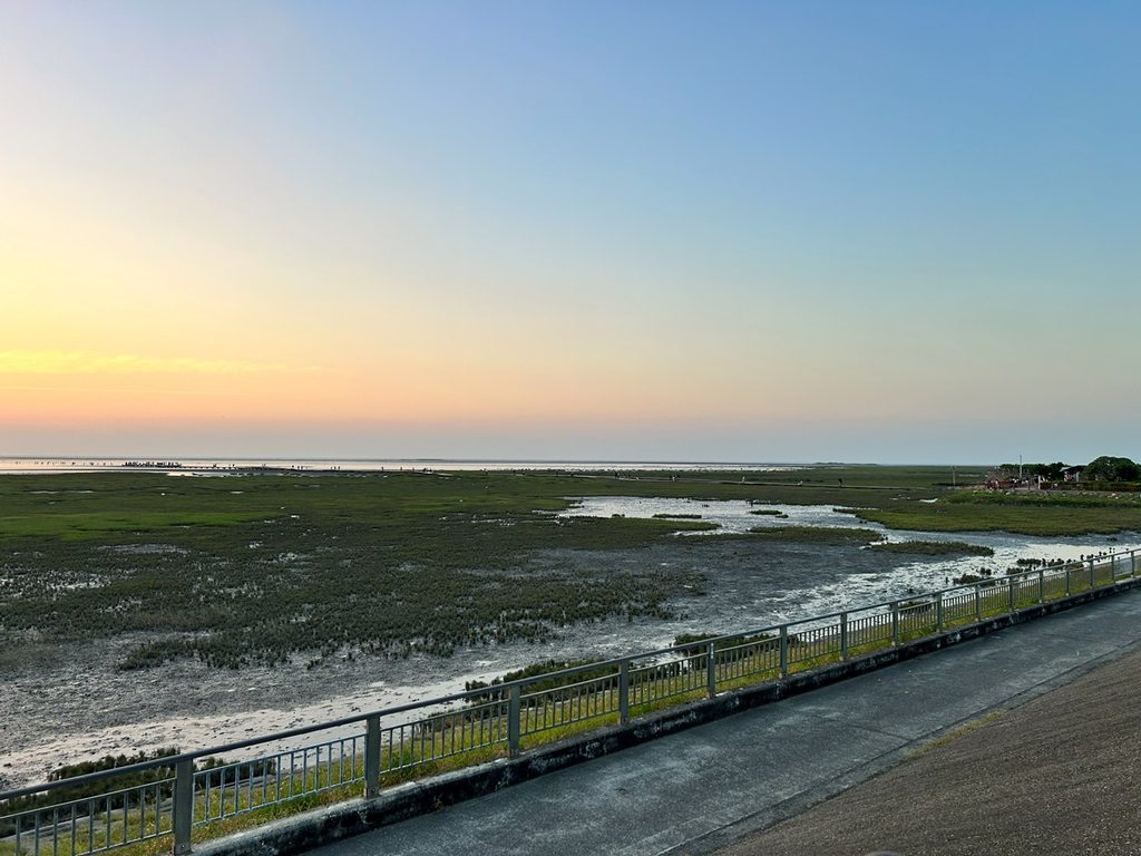 高美湿地_3