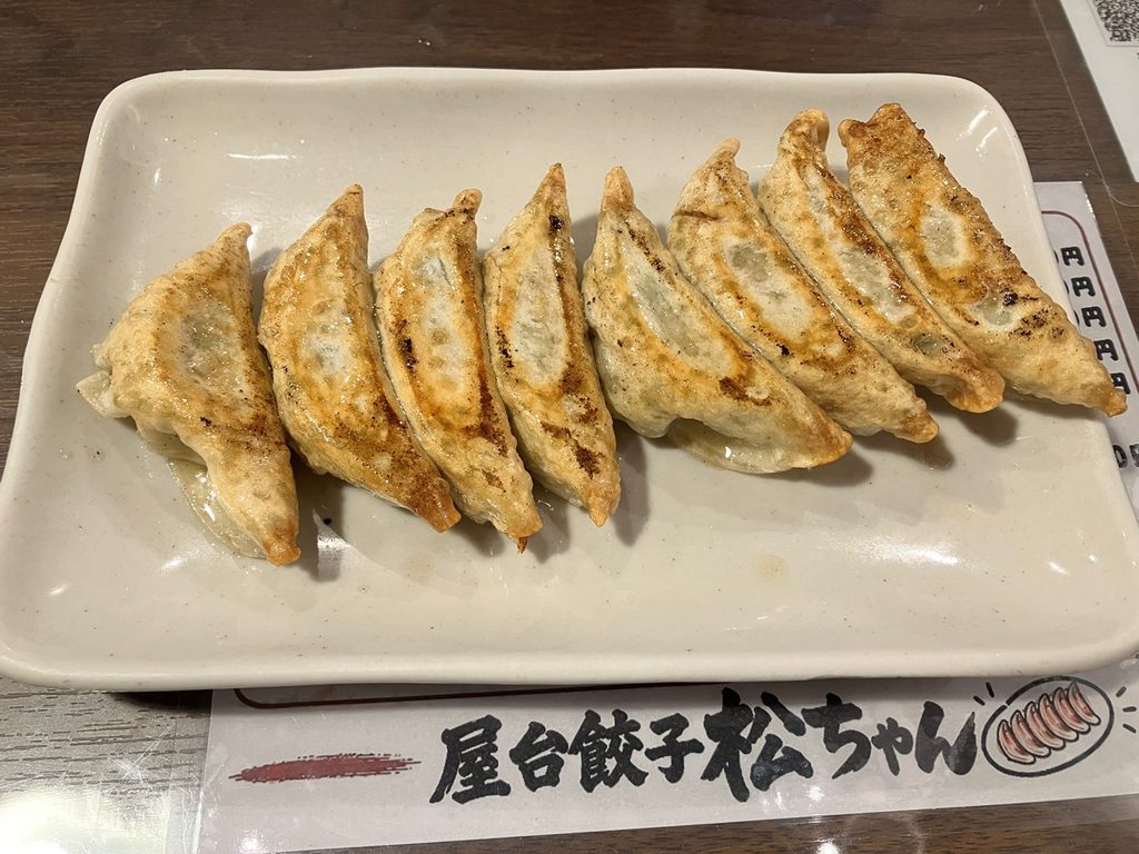 高知の三代目屋台餃子松ちゃんで食べた焼き餃子